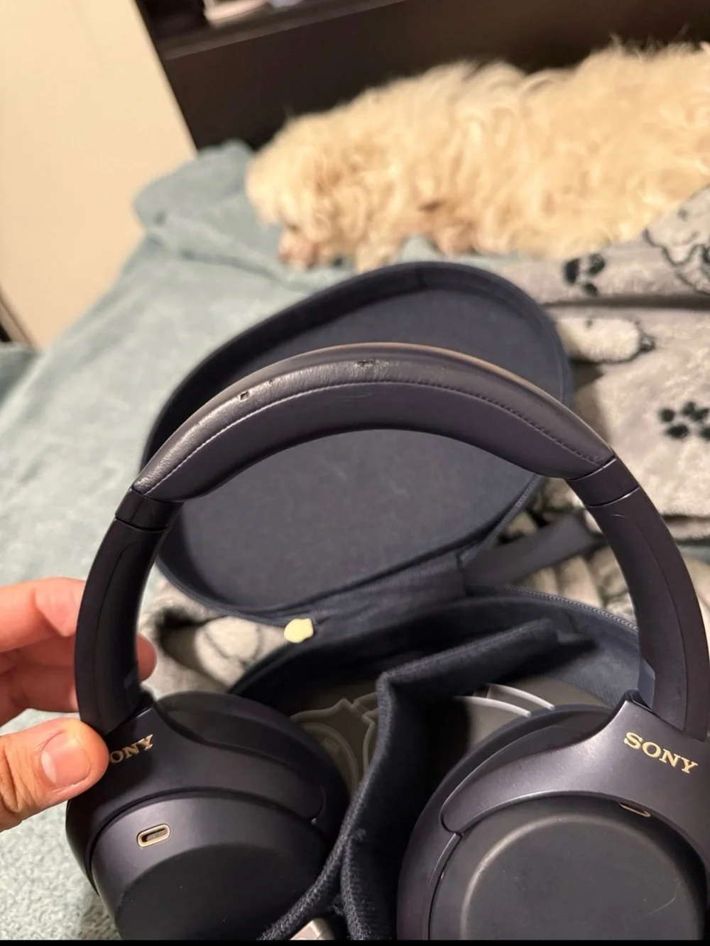 Sony Over-Ear Headphones in Dark Blue